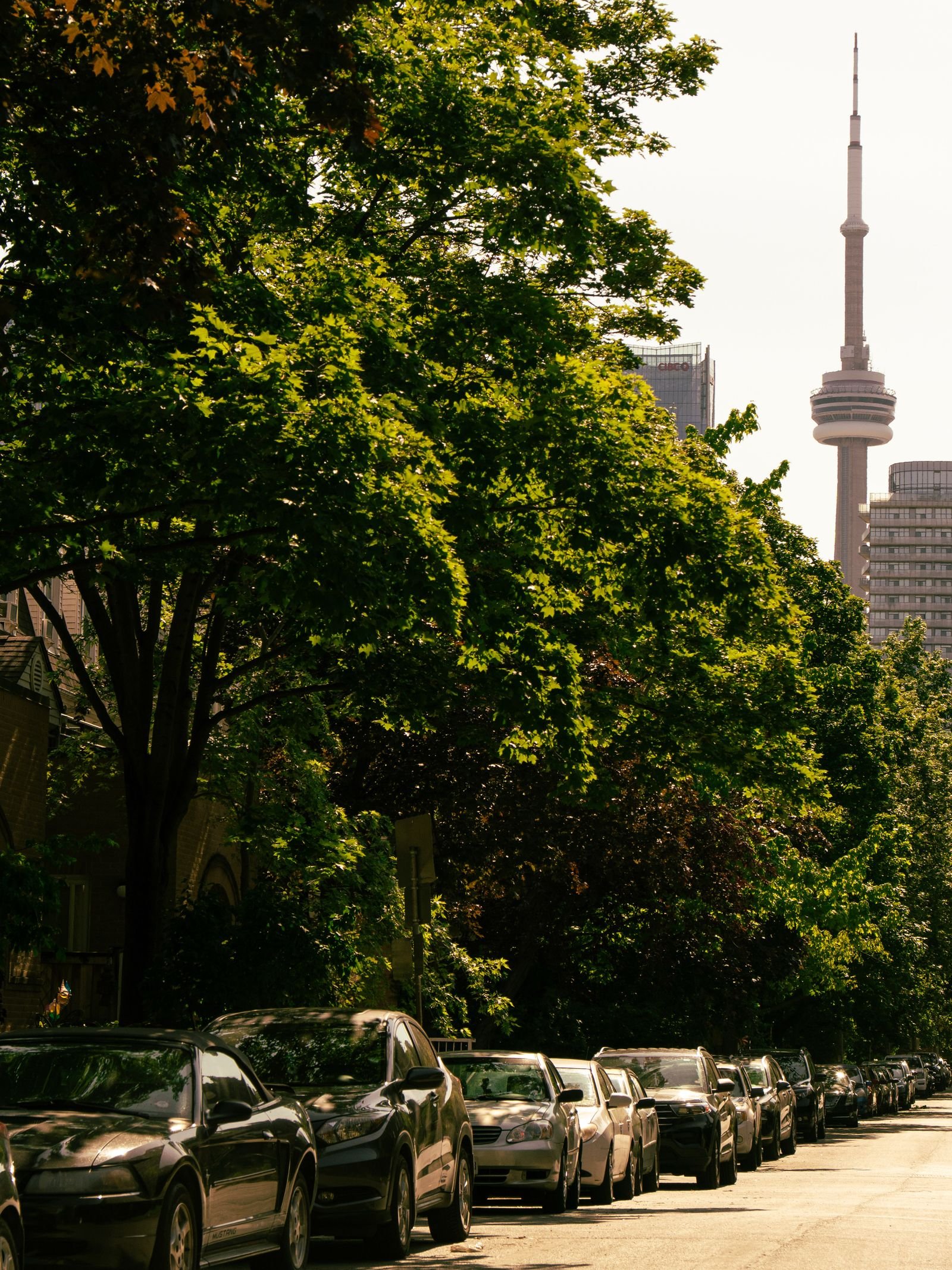 City street lined with low-rise buildings and a tall tower in the distance